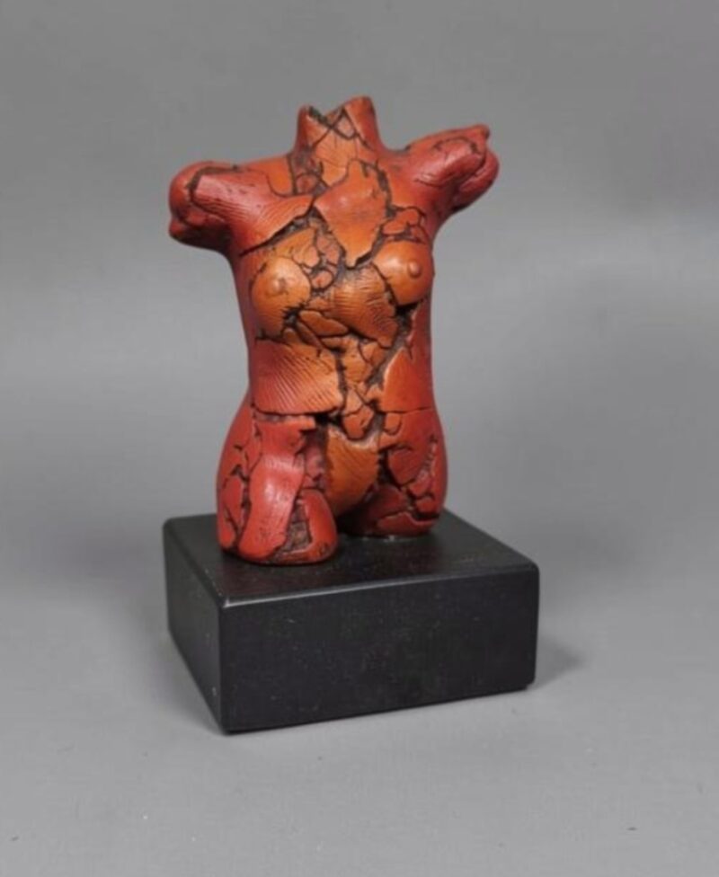 Torso